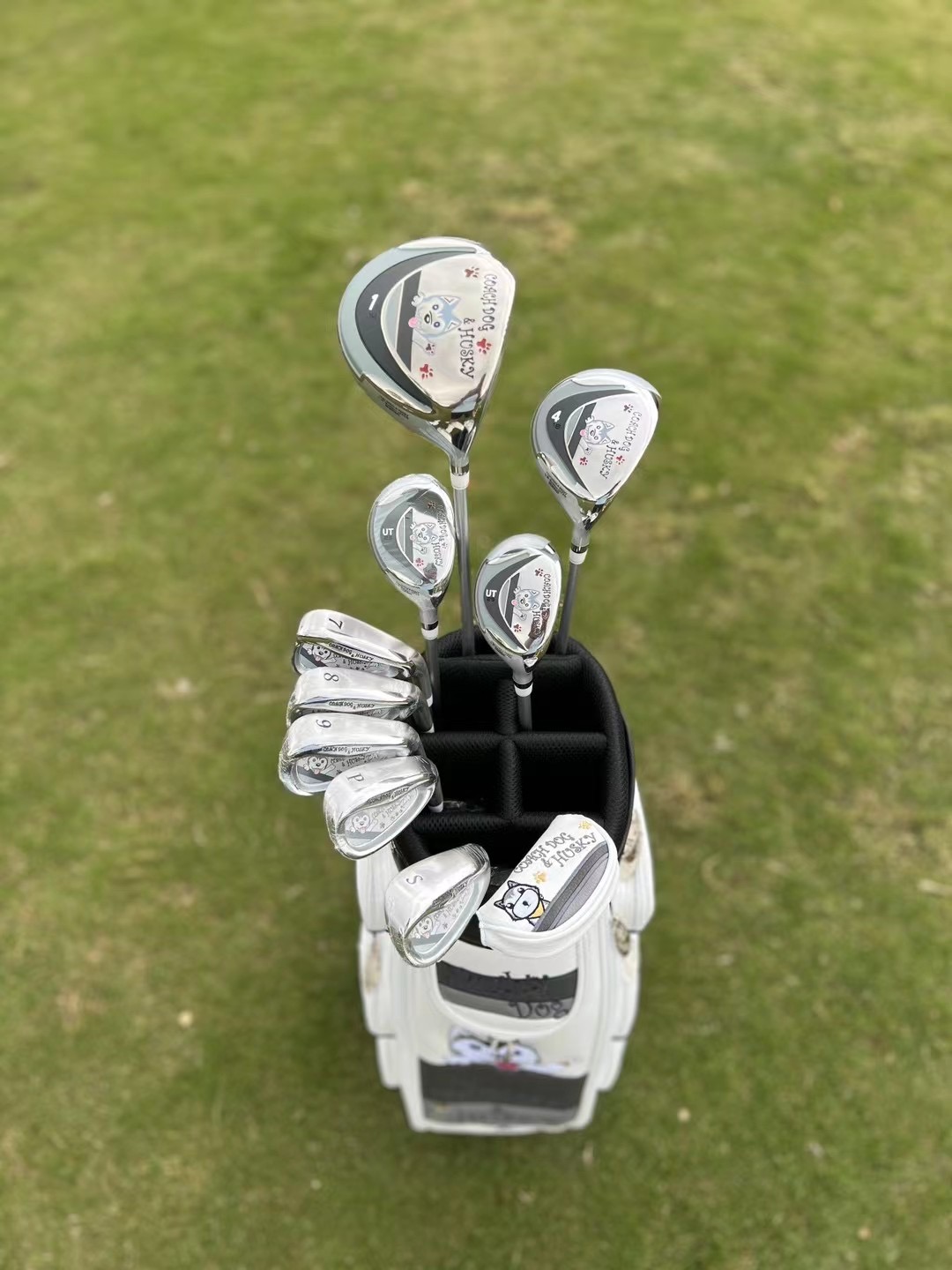 Happy dog ​​cartoon image golf - Golf Equipment Junior review and price