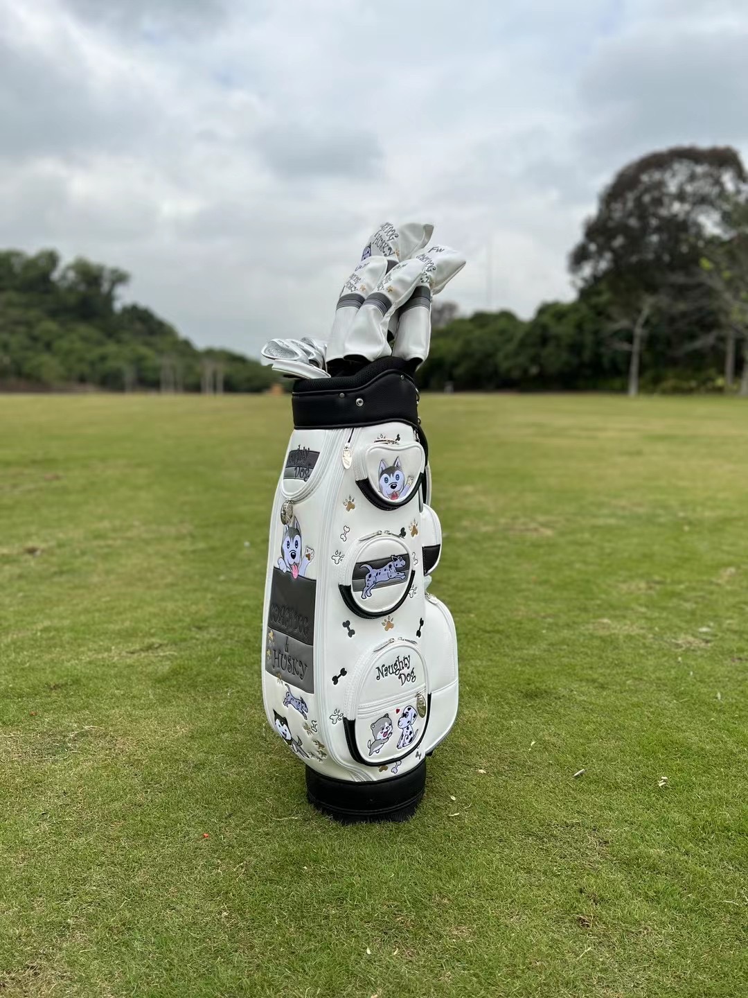 Happy dog ​​cartoon image golf - Golf Equipment Junior review and price