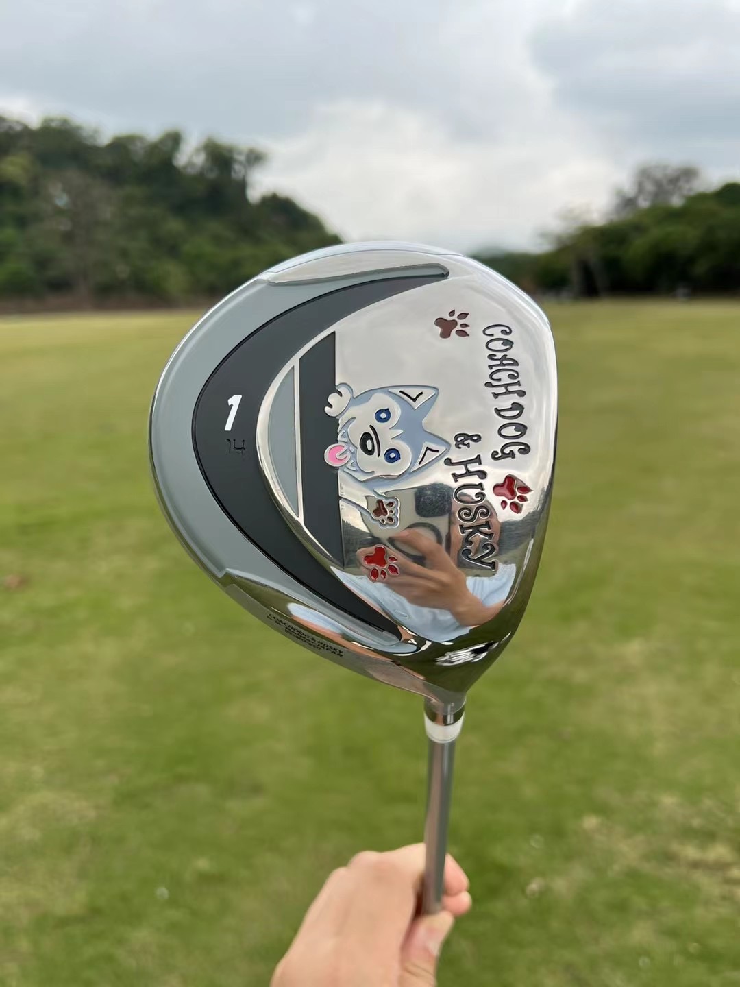 Happy dog ​​cartoon image golf - Golf Equipment Junior review and price